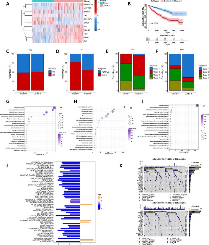 https://cdn.ncbi.nlm.nih.gov/pmc/blobs/6613/12214139/b68073f3fcd9/12672_2025_3050_Fig3_HTML.jpg