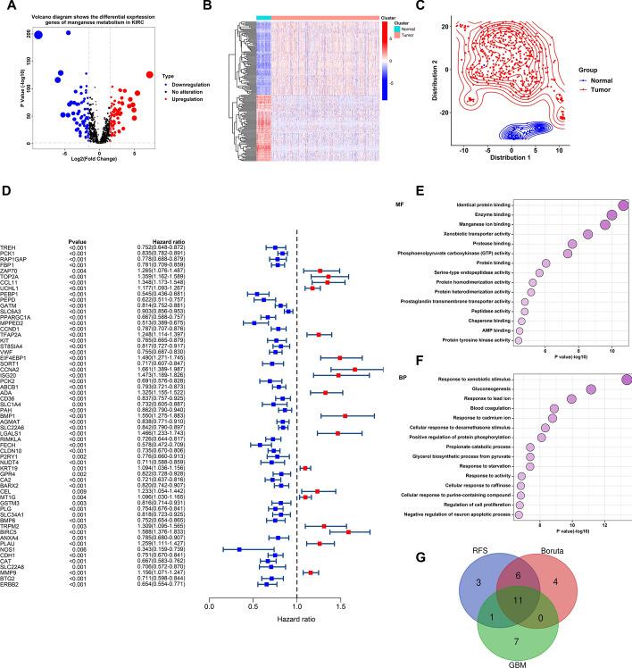 https://cdn.ncbi.nlm.nih.gov/pmc/blobs/6613/12214139/c449dbb6c767/12672_2025_3050_Fig2_HTML.jpg