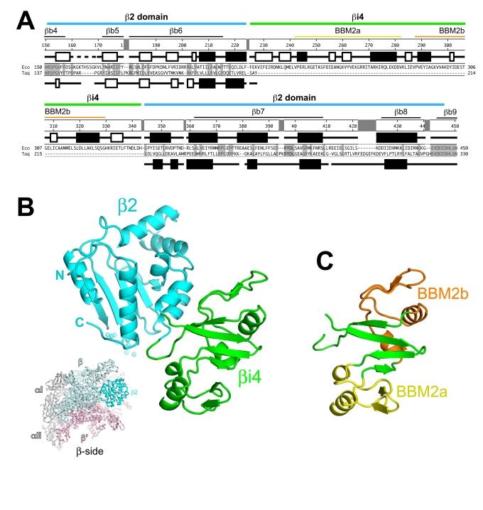 https://cdn.ncbi.nlm.nih.gov/pmc/blobs/6614/2939025/3c87d8ea6102/pbio.1000483.g002.jpg