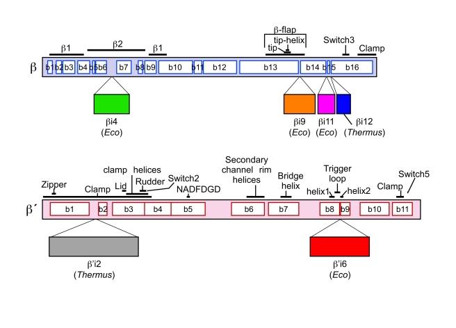 https://cdn.ncbi.nlm.nih.gov/pmc/blobs/6614/2939025/5fb6eb610a70/pbio.1000483.g001.jpg