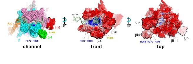 https://cdn.ncbi.nlm.nih.gov/pmc/blobs/6614/2939025/d25d76543696/pbio.1000483.g005.jpg