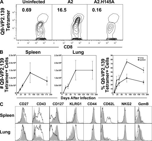 https://cdn.ncbi.nlm.nih.gov/pmc/blobs/6616/2442642/03d7f6a0910d/jem2051647f03.jpg