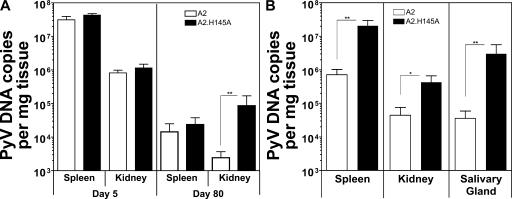 https://cdn.ncbi.nlm.nih.gov/pmc/blobs/6616/2442642/579421f81c8c/jem2051647f05.jpg