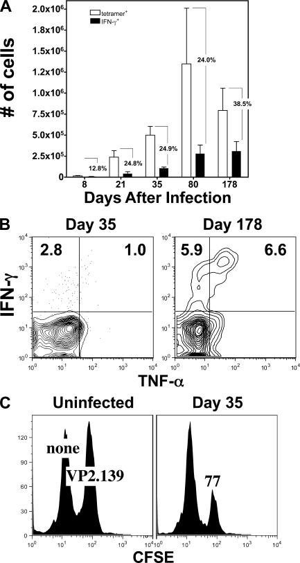 https://cdn.ncbi.nlm.nih.gov/pmc/blobs/6616/2442642/b6387634f5f6/jem2051647f04.jpg