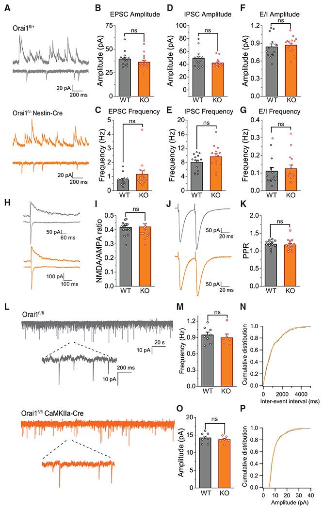 https://cdn.ncbi.nlm.nih.gov/pmc/blobs/6617/7832685/a3b5407f07b9/nihms-1651255-f0004.jpg