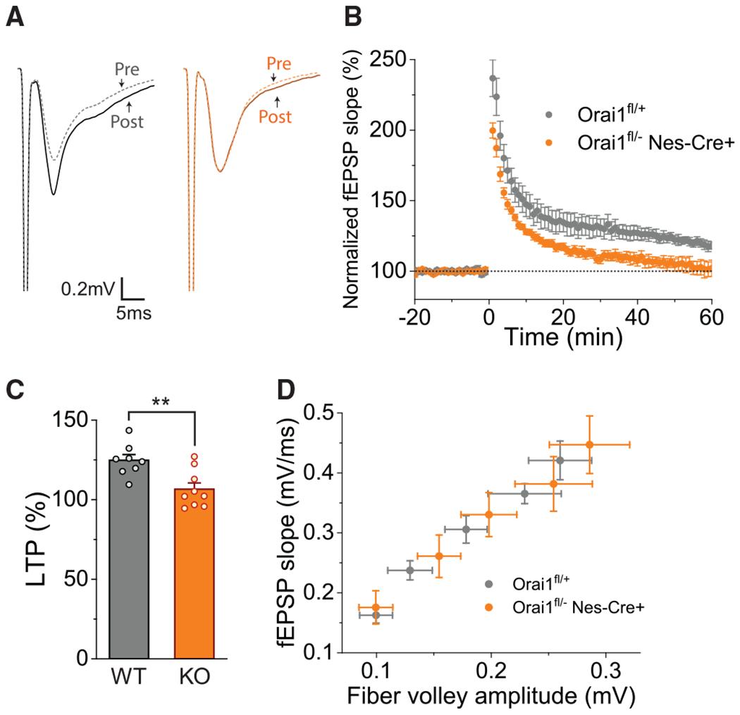 https://cdn.ncbi.nlm.nih.gov/pmc/blobs/6617/7832685/ab2c6d8a4835/nihms-1651255-f0005.jpg