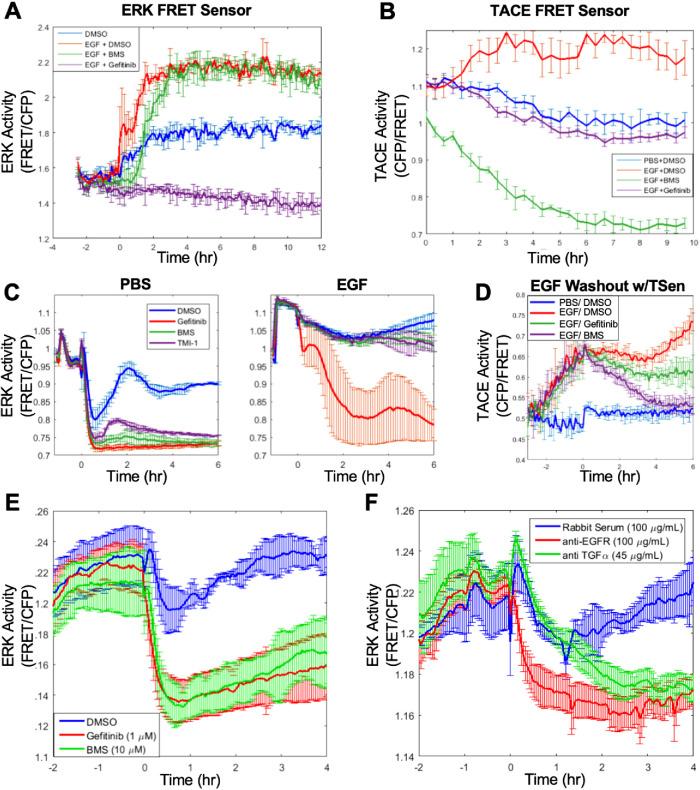 https://cdn.ncbi.nlm.nih.gov/pmc/blobs/6618/8098817/ee17e7f17e45/mbc-32-348-g001.jpg