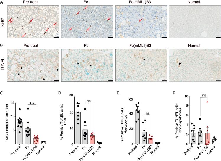 https://cdn.ncbi.nlm.nih.gov/pmc/blobs/6619/11300919/1267ec5aa7d8/gr8.jpg