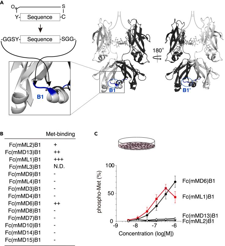 https://cdn.ncbi.nlm.nih.gov/pmc/blobs/6619/11300919/9ea3f42b9e03/gr2.jpg