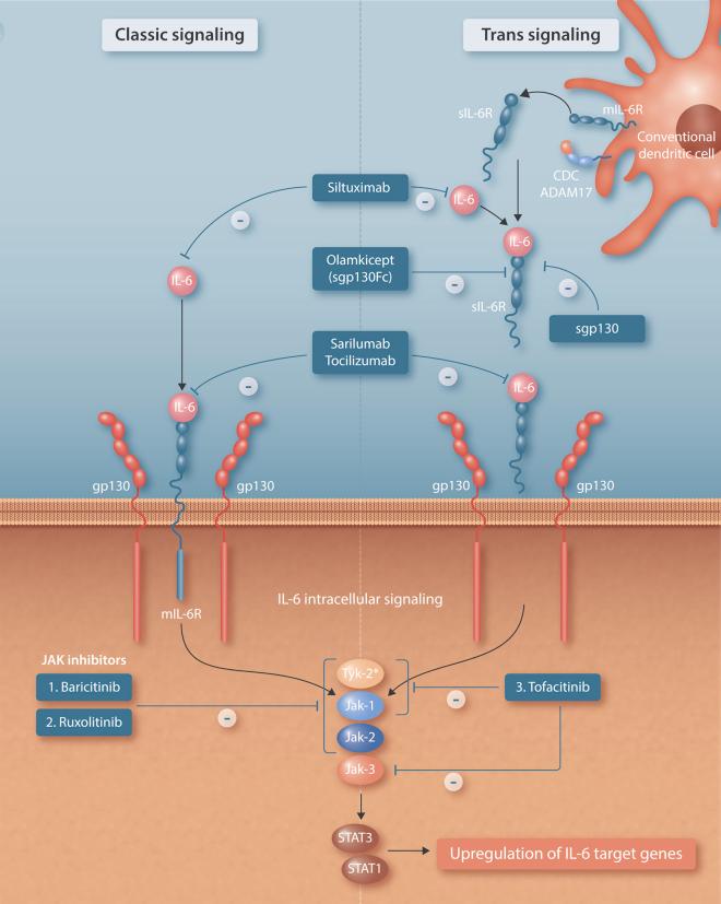 https://cdn.ncbi.nlm.nih.gov/pmc/blobs/6619/8149368/641fdfdf3f0b/gr1.jpg
