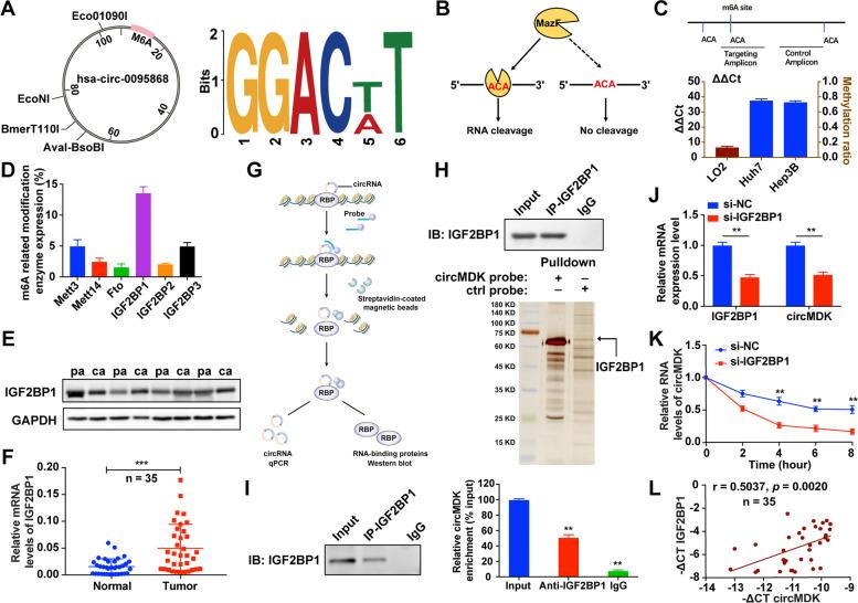 https://cdn.ncbi.nlm.nih.gov/pmc/blobs/6619/9074191/1de79f710998/12943_2022_1575_Fig3_HTML.jpg