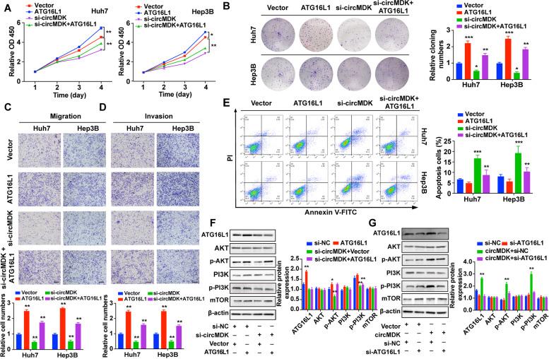 https://cdn.ncbi.nlm.nih.gov/pmc/blobs/6619/9074191/64b4628c9d53/12943_2022_1575_Fig6_HTML.jpg