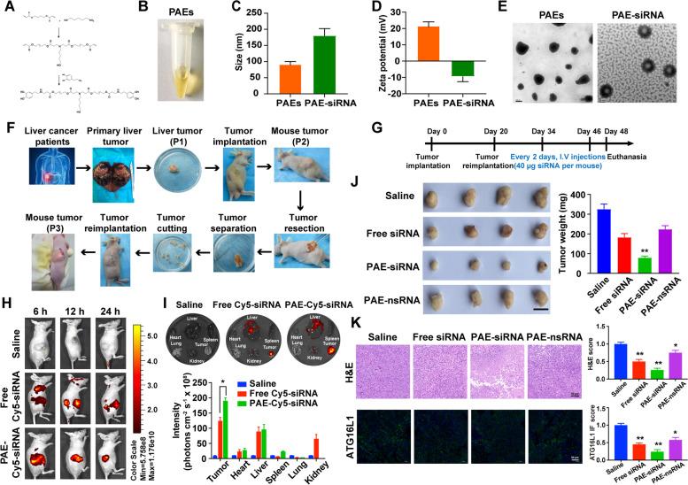 https://cdn.ncbi.nlm.nih.gov/pmc/blobs/6619/9074191/b6e4f4103277/12943_2022_1575_Fig7_HTML.jpg