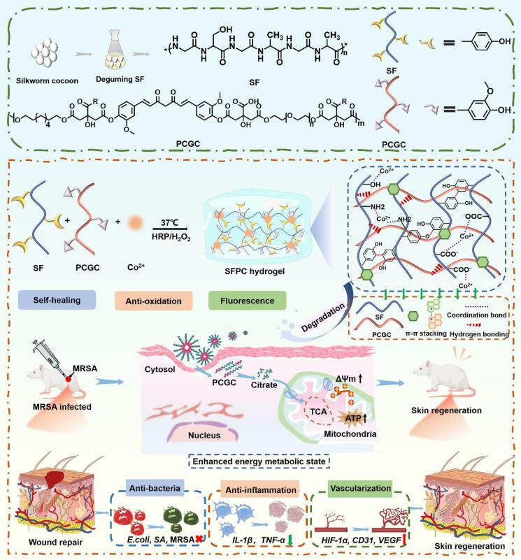 https://cdn.ncbi.nlm.nih.gov/pmc/blobs/661a/12203806/28baf8c483e6/thnov15p6882g001.jpg