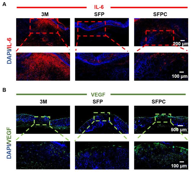 https://cdn.ncbi.nlm.nih.gov/pmc/blobs/661a/12203806/3ebcb3691d5f/thnov15p6882g009.jpg