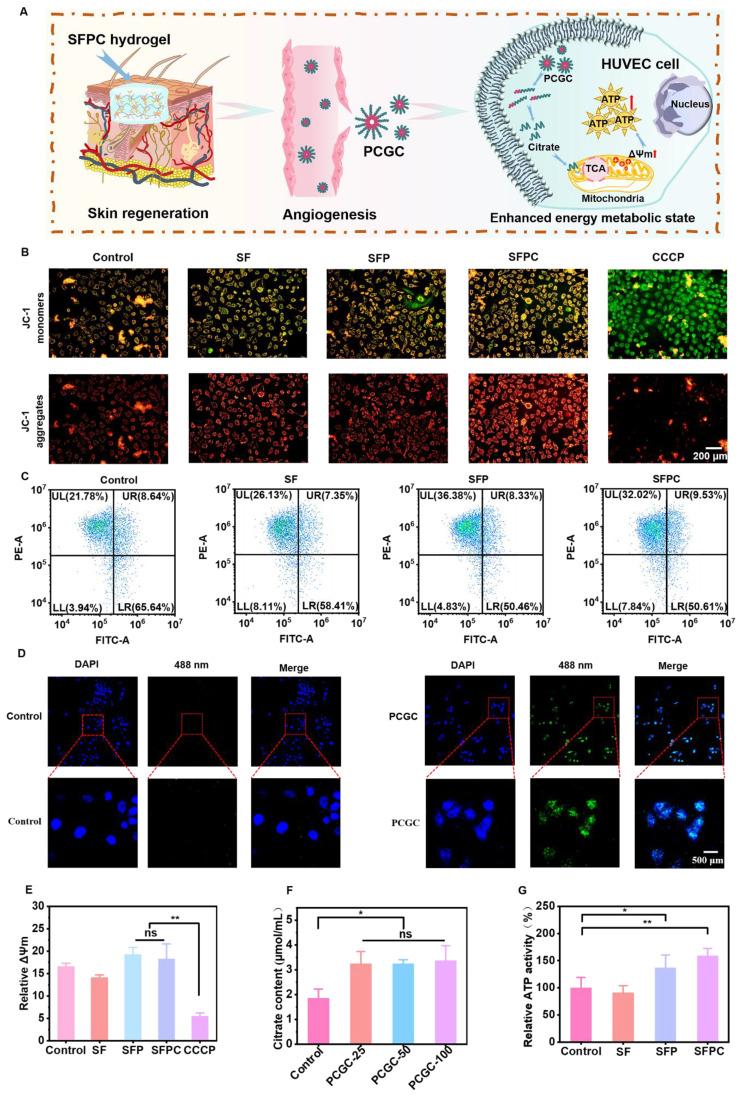 https://cdn.ncbi.nlm.nih.gov/pmc/blobs/661a/12203806/ecc77ce99121/thnov15p6882g006.jpg