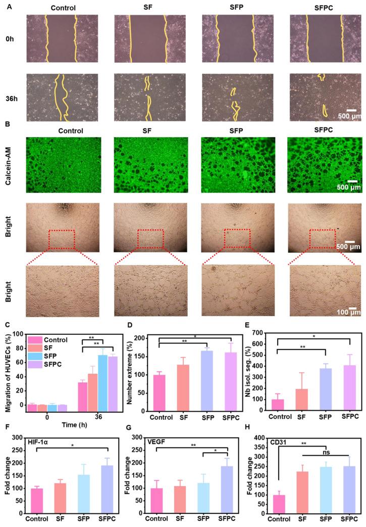 https://cdn.ncbi.nlm.nih.gov/pmc/blobs/661a/12203806/fd28e2221281/thnov15p6882g005.jpg