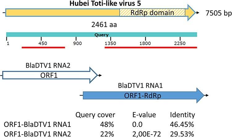 https://cdn.ncbi.nlm.nih.gov/pmc/blobs/661d/10868552/4a77e34ca301/veae003f3.jpg