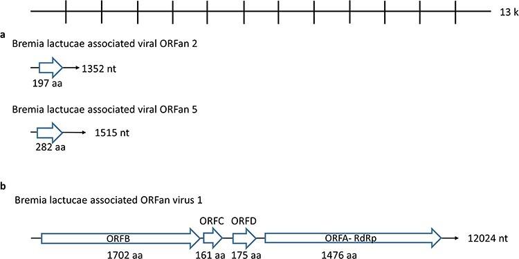 https://cdn.ncbi.nlm.nih.gov/pmc/blobs/661d/10868552/5d1e218a84d1/veae003f7.jpg