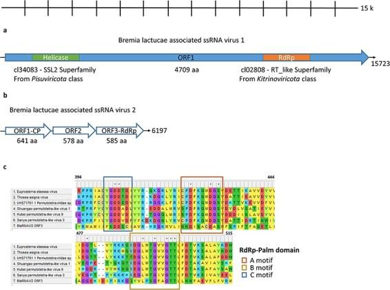 https://cdn.ncbi.nlm.nih.gov/pmc/blobs/661d/10868552/a791f7614a7d/veae003f5.jpg