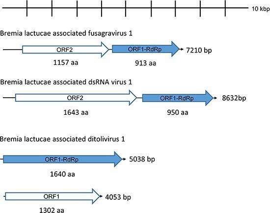 https://cdn.ncbi.nlm.nih.gov/pmc/blobs/661d/10868552/b391c50ff825/veae003f1.jpg