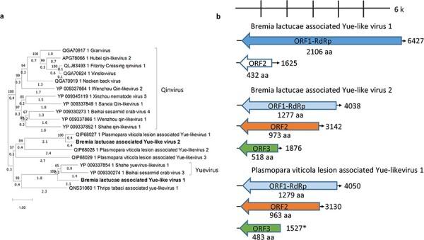 https://cdn.ncbi.nlm.nih.gov/pmc/blobs/661d/10868552/b3e39ab92e04/veae003f4.jpg