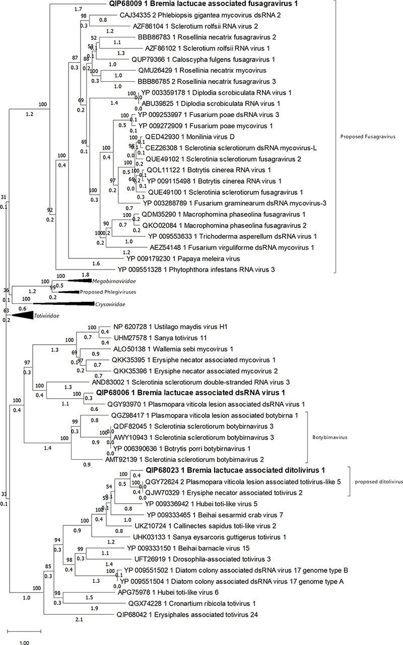 https://cdn.ncbi.nlm.nih.gov/pmc/blobs/661d/10868552/bbecda66e1b0/veae003f2.jpg