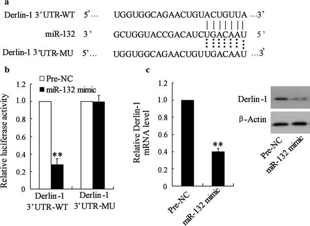 https://cdn.ncbi.nlm.nih.gov/pmc/blobs/661d/5902964/282ccc0afcb1/12935_2017_477_Fig4_HTML.jpg