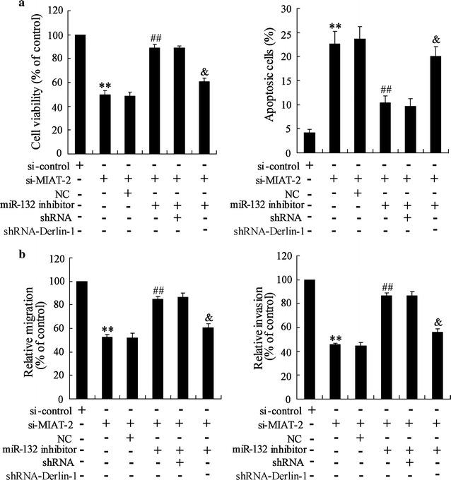 https://cdn.ncbi.nlm.nih.gov/pmc/blobs/661d/5902964/794dbf2c5312/12935_2017_477_Fig6_HTML.jpg