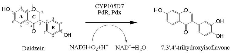 https://cdn.ncbi.nlm.nih.gov/pmc/blobs/661e/6270586/5f80cc85dd5b/molecules-18-03028-g006.jpg