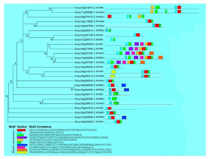 https://cdn.ncbi.nlm.nih.gov/pmc/blobs/661f/7828616/a36ebb7f219c/ijms-22-00758-g001.jpg