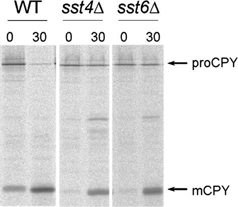 https://cdn.ncbi.nlm.nih.gov/pmc/blobs/6620/2885615/ab415af513ec/2753fig2.jpg