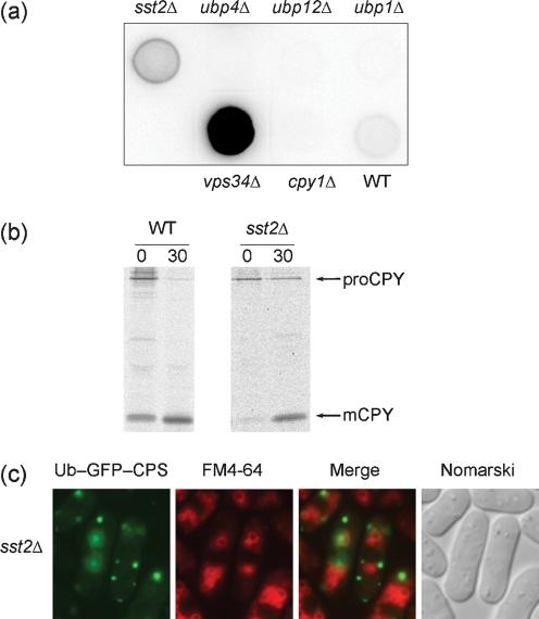 https://cdn.ncbi.nlm.nih.gov/pmc/blobs/6620/2885615/d1330e49b333/2753fig8.jpg