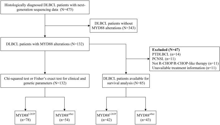 https://cdn.ncbi.nlm.nih.gov/pmc/blobs/6622/10374827/78039cc07d49/432_2023_4714_Fig1_HTML.jpg