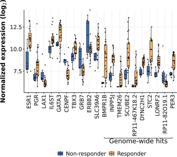 https://cdn.ncbi.nlm.nih.gov/pmc/blobs/6623/11843815/370b80fb1cc6/13058_2025_1963_Fig4_HTML.jpg