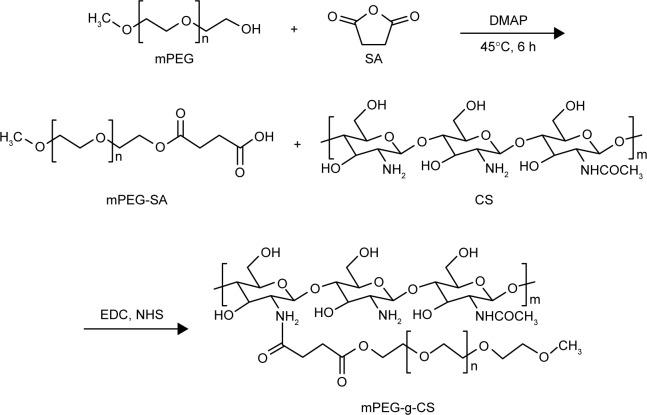 https://cdn.ncbi.nlm.nih.gov/pmc/blobs/6623/6161721/6dce76b3ae31/ijn-13-5657Fig1.jpg
