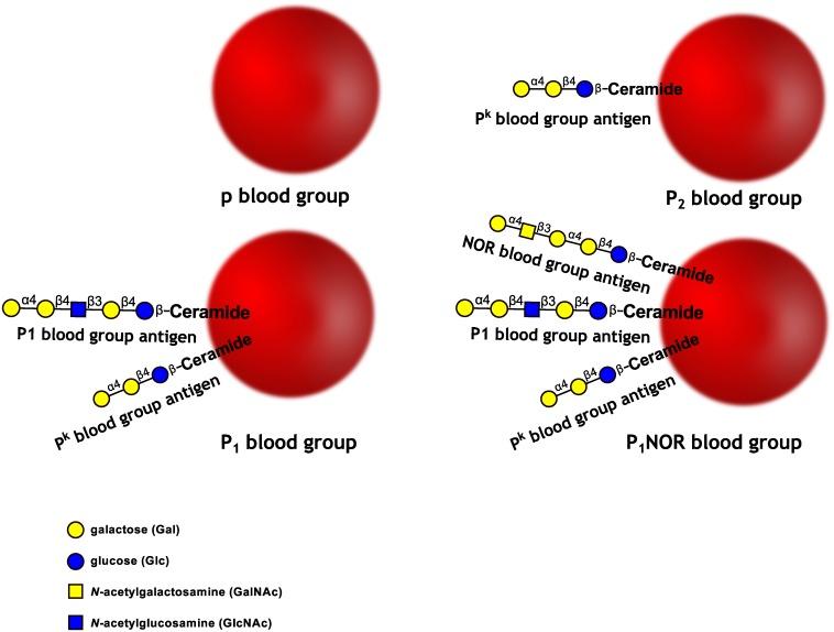 https://cdn.ncbi.nlm.nih.gov/pmc/blobs/6625/5927444/29fd44a8545a/pone.0196627.g001.jpg