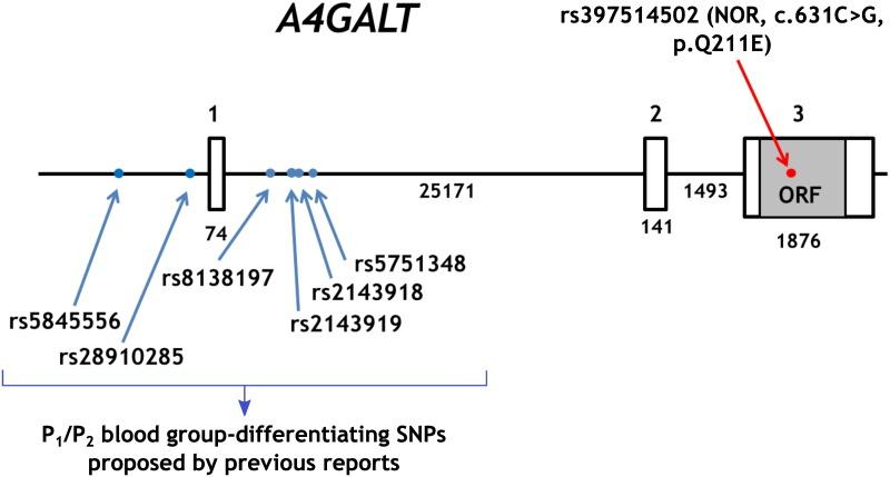https://cdn.ncbi.nlm.nih.gov/pmc/blobs/6625/5927444/c0e8145b9383/pone.0196627.g002.jpg
