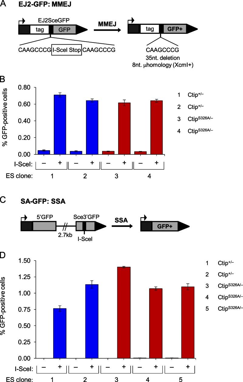https://cdn.ncbi.nlm.nih.gov/pmc/blobs/6629/3664708/d694c7dbf406/JCB_201302145_Fig8.jpg