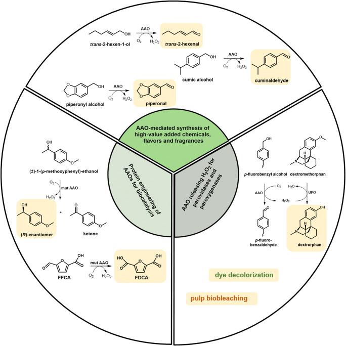https://cdn.ncbi.nlm.nih.gov/pmc/blobs/6629/8140971/a981b5a47b00/253_2021_11337_Fig5_HTML.jpg