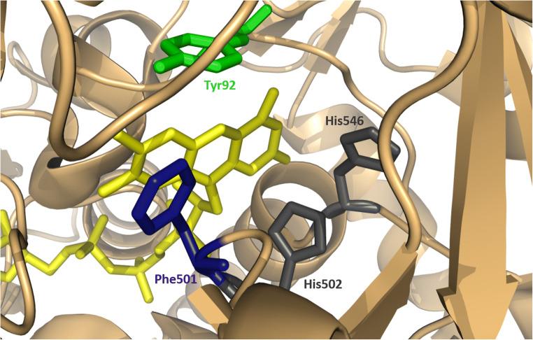 https://cdn.ncbi.nlm.nih.gov/pmc/blobs/6629/8140971/b2e6a73fb4b1/253_2021_11337_Fig2_HTML.jpg