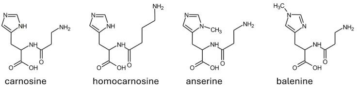 https://cdn.ncbi.nlm.nih.gov/pmc/blobs/662a/11173852/59b8d27f9644/molecules-29-02488-g004.jpg