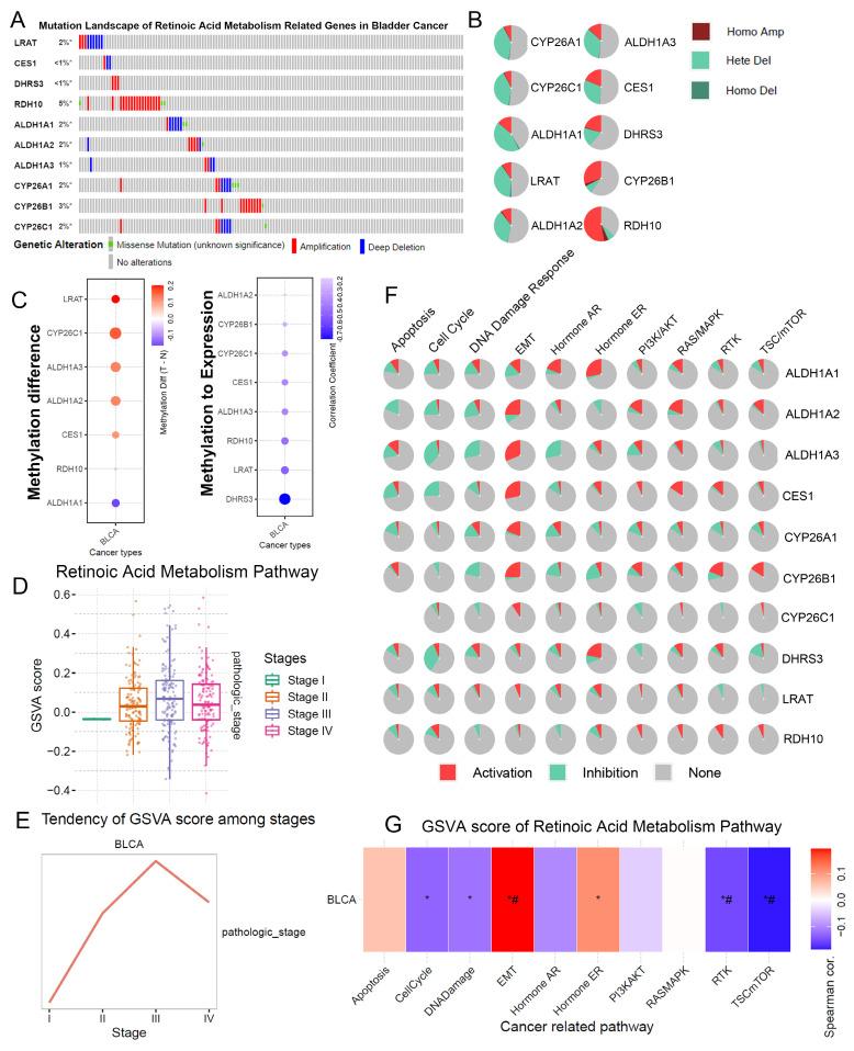 https://cdn.ncbi.nlm.nih.gov/pmc/blobs/662a/12170498/0e556538a54b/jcav16p2476g001.jpg