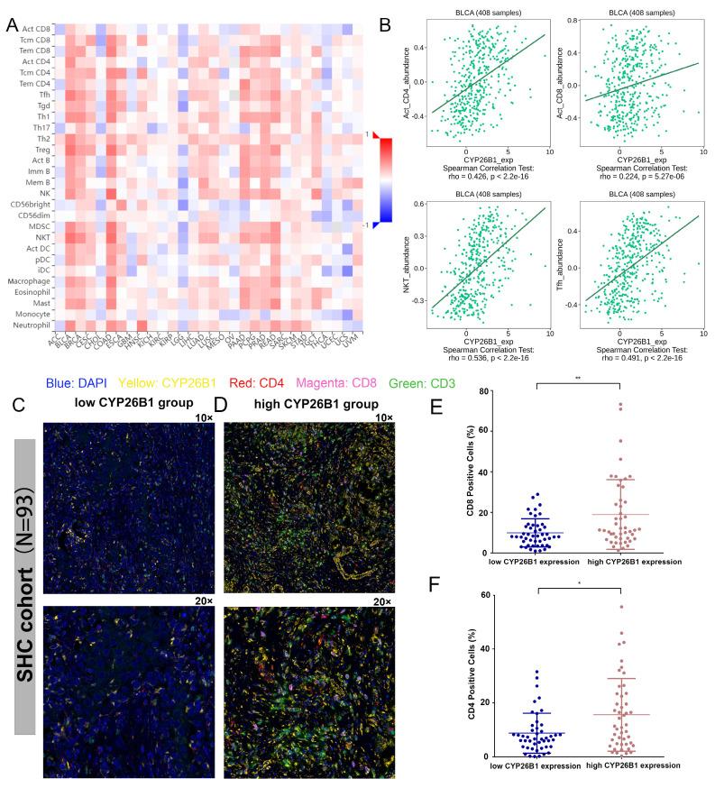 https://cdn.ncbi.nlm.nih.gov/pmc/blobs/662a/12170498/54044038bfad/jcav16p2476g008.jpg