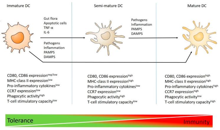 https://cdn.ncbi.nlm.nih.gov/pmc/blobs/662b/9099521/95b7810e1553/ijms-23-04885-g002.jpg