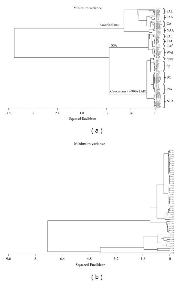 https://cdn.ncbi.nlm.nih.gov/pmc/blobs/662e/3506882/03054372cb0d/BMR2012-136087.002.jpg