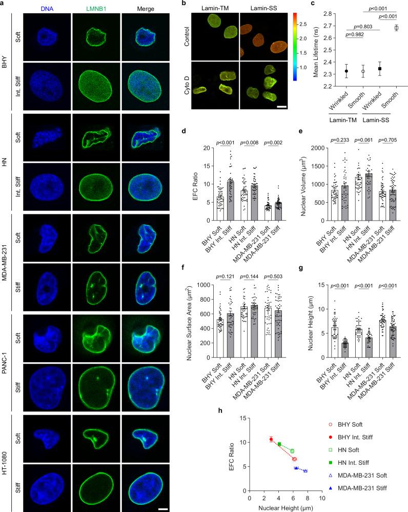 https://cdn.ncbi.nlm.nih.gov/pmc/blobs/662f/11584751/372aac372d38/41467_2024_54577_Fig1_HTML.jpg