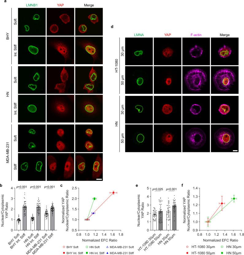 https://cdn.ncbi.nlm.nih.gov/pmc/blobs/662f/11584751/69039d5b2f7c/41467_2024_54577_Fig5_HTML.jpg