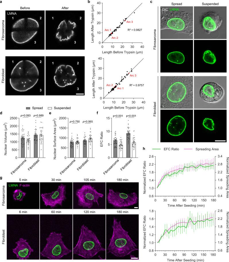 https://cdn.ncbi.nlm.nih.gov/pmc/blobs/662f/11584751/a138855eceea/41467_2024_54577_Fig2_HTML.jpg