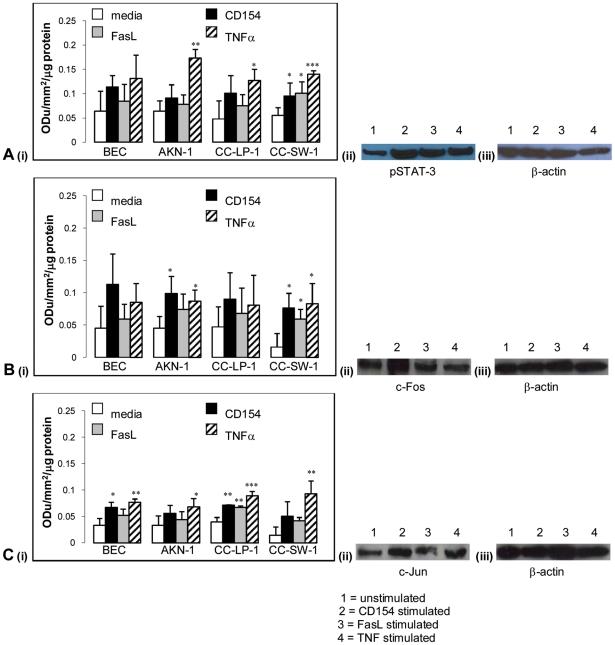 https://cdn.ncbi.nlm.nih.gov/pmc/blobs/662f/2984448/00444677b5ca/pone.0014037.g003.jpg